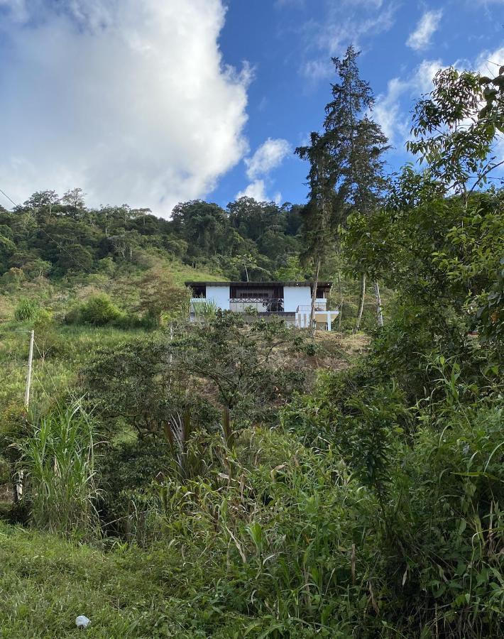 Arte De Plumas Birding Lodge Картаго Екстериор снимка