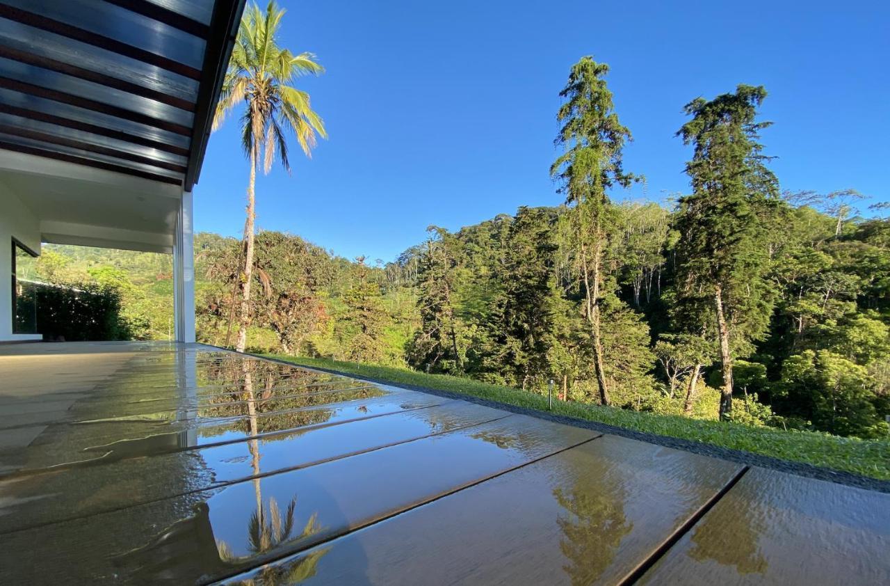 Arte De Plumas Birding Lodge Картаго Екстериор снимка