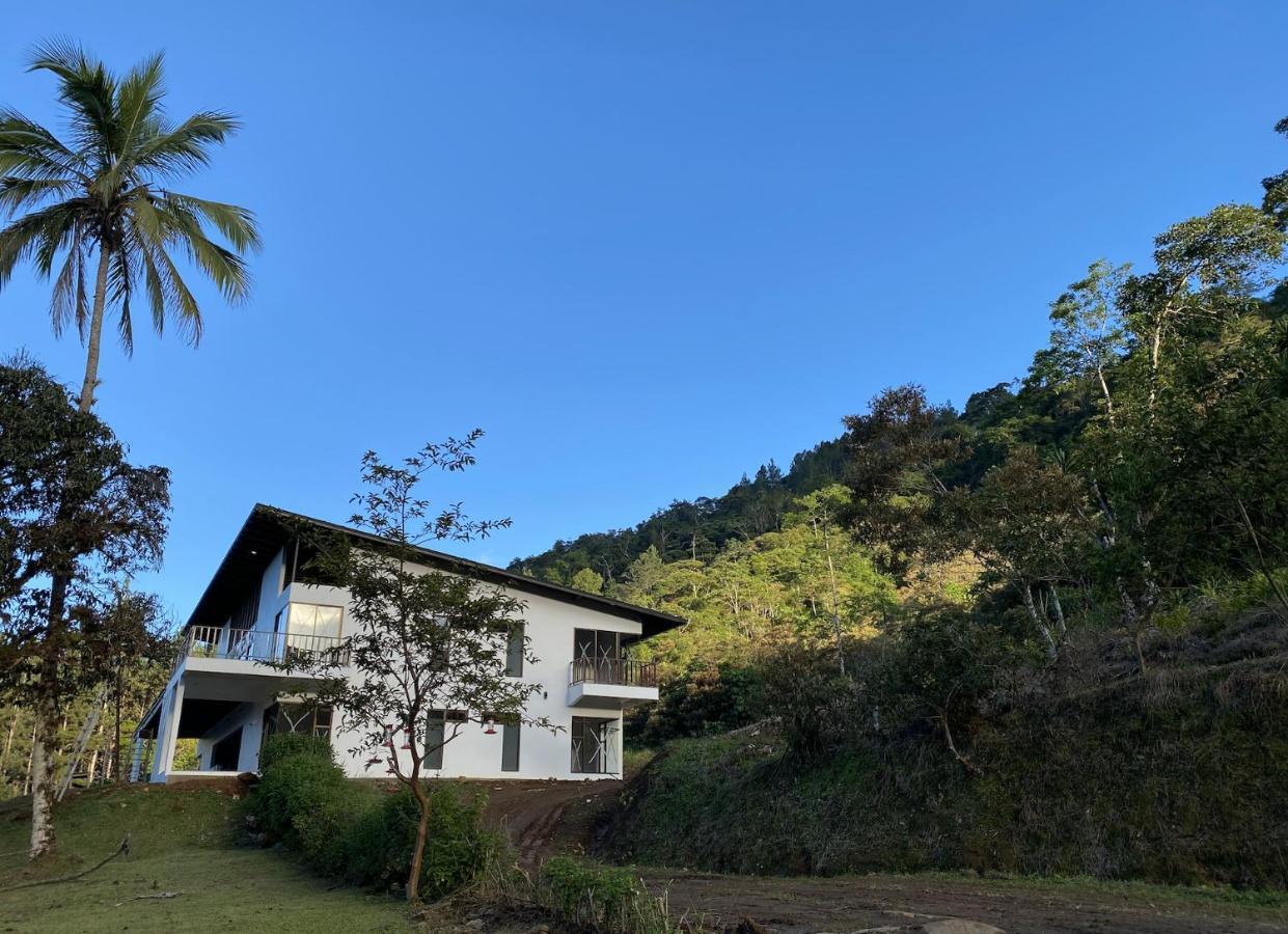 Arte De Plumas Birding Lodge Картаго Екстериор снимка