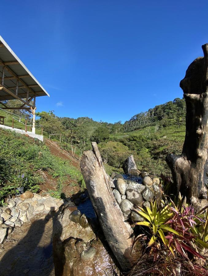 Arte De Plumas Birding Lodge Картаго Екстериор снимка