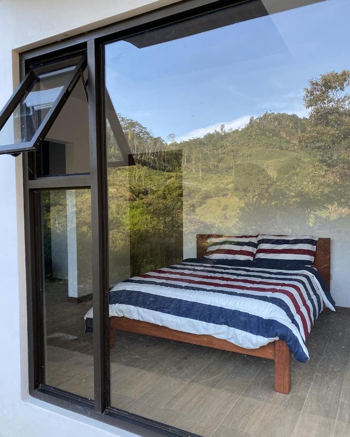 Arte De Plumas Birding Lodge Картаго Екстериор снимка
